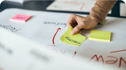 Newly planted saplings at a reforestation site